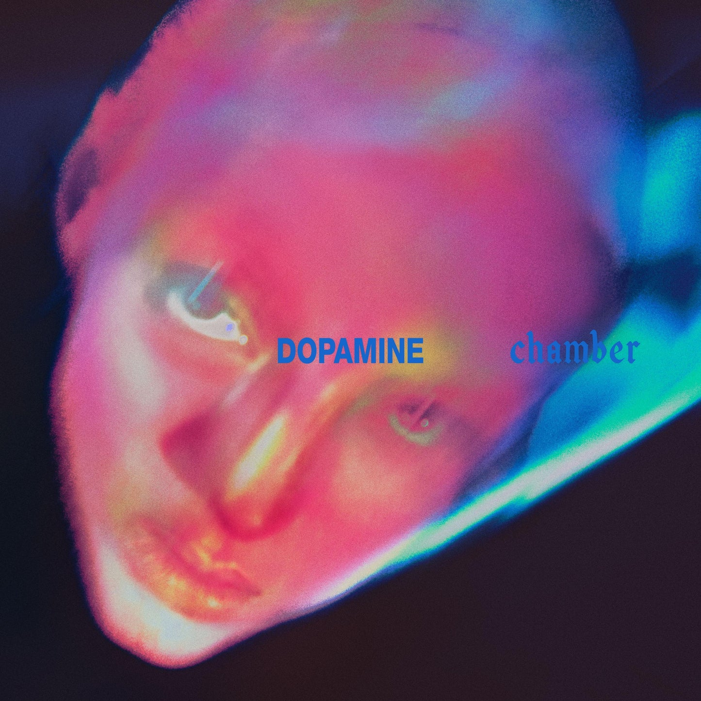 Fontaines D.C. - Dopamine Chamber (CD) - VÖ: 16.10.2026
