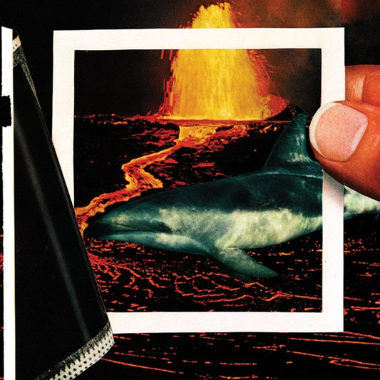 The Thermals - We Disappear (black LP)