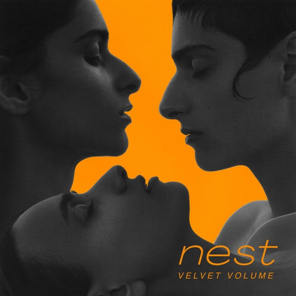 Velvet Volume - Nest (LP)