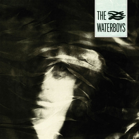 The Waterboys - A Pagan Place (black LP)
