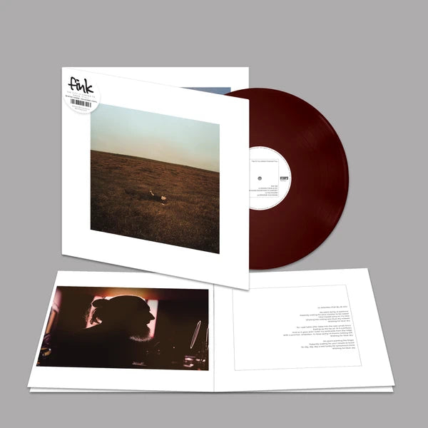 Fink - The City Is Coming To Erase It All (winter gorse LP) - VÖ: 05.06.26