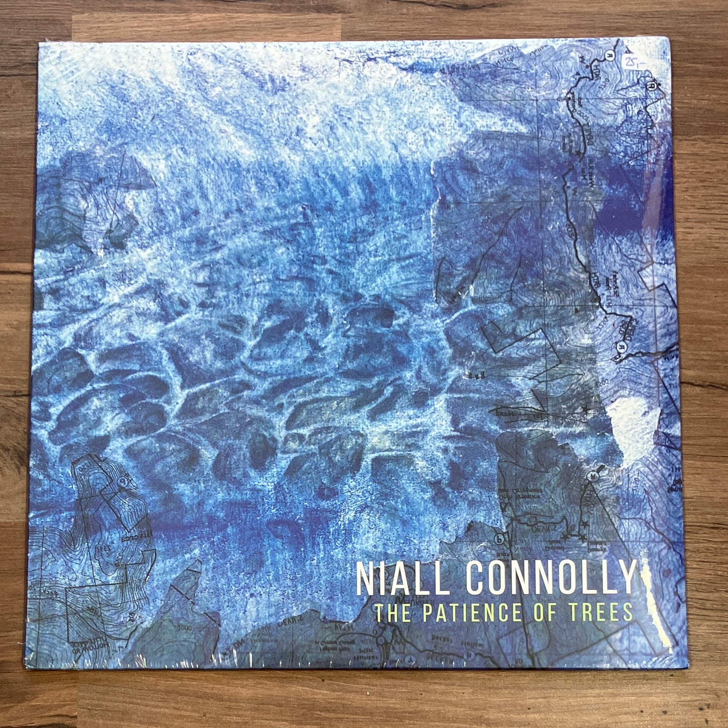 Niall Connolly - The Patience Of Trees (black LP)