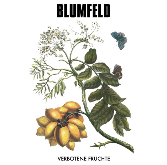 Blumfeld - Verbotene Früchte (new edition 2LP)