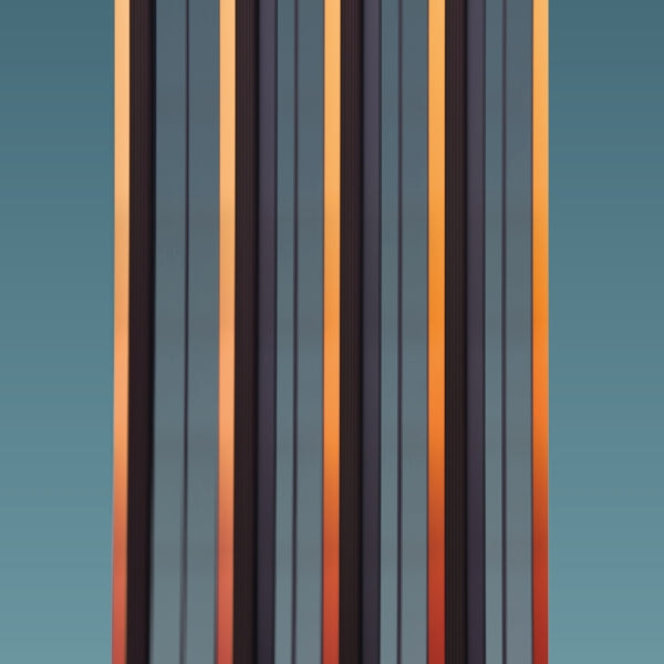 Fluppe - Boutique (LP)