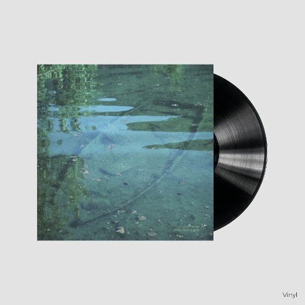 Marian Menge - all that litter is gold (black LP)