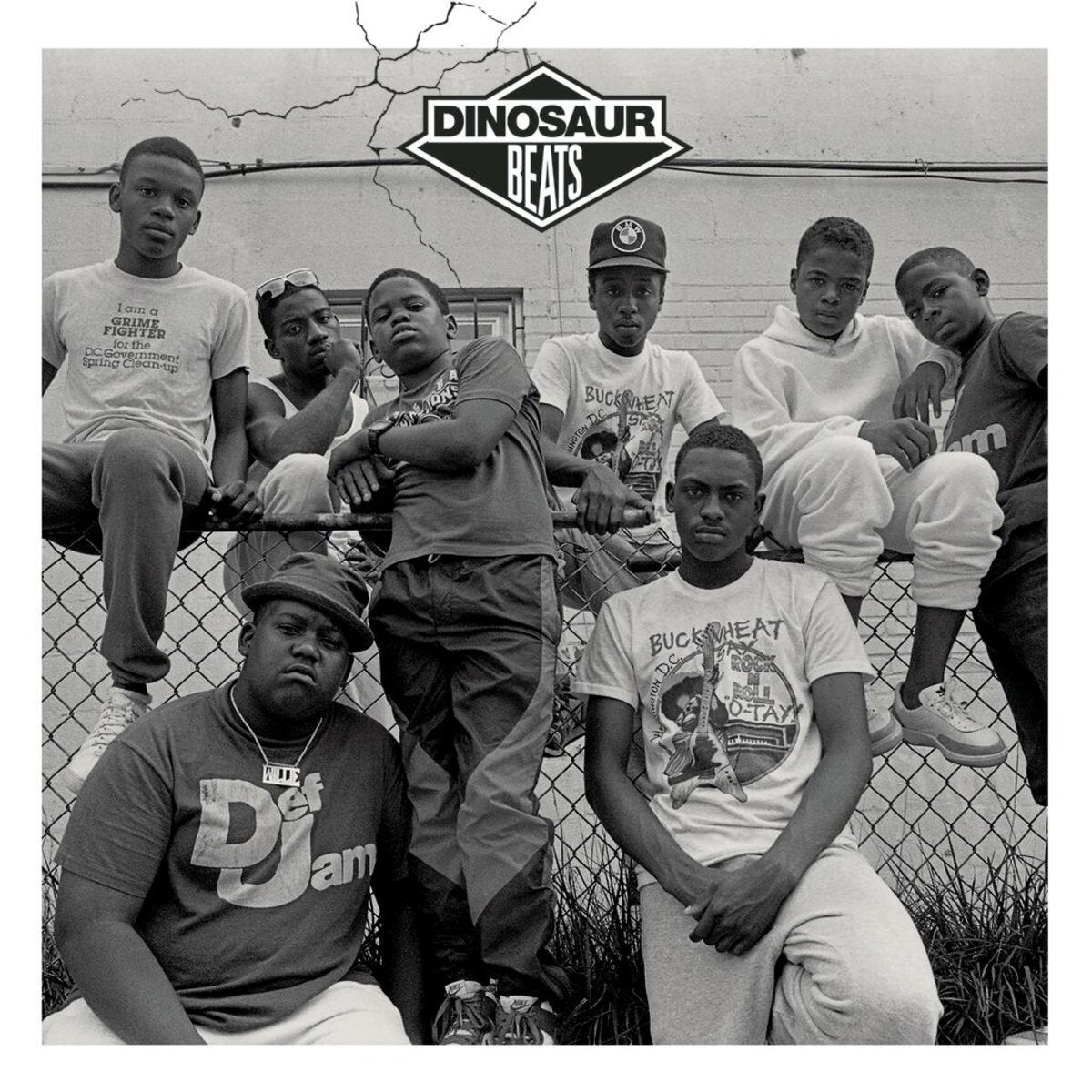 Various Artists - Dinosaur Beats (black 2LP)