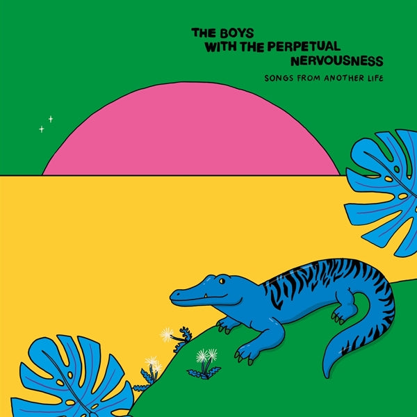 The Boys With The Perpetual Nervousness - Songs From Another Life (black LP)