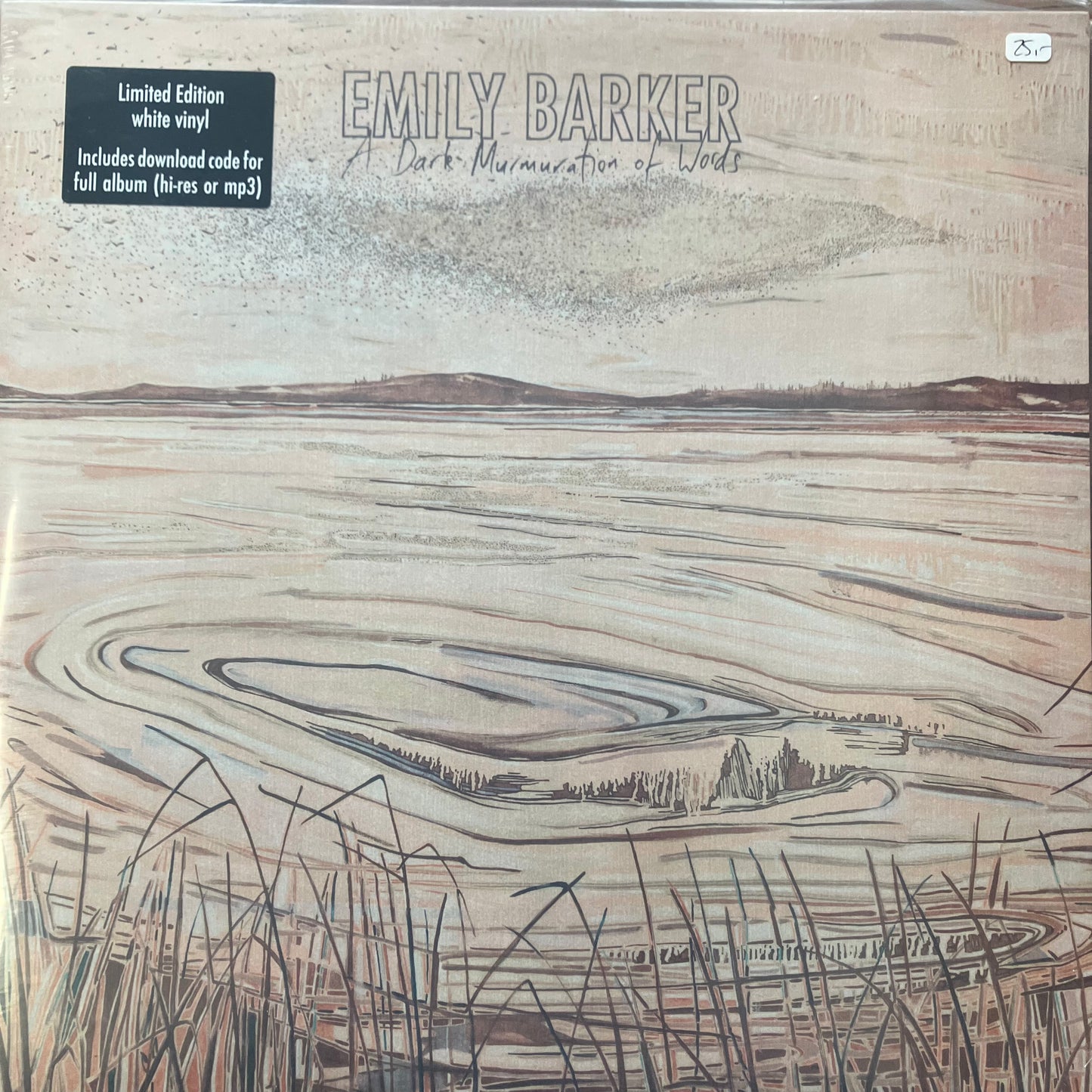 Emily Barker - A Dark Murmuration Of Words (col. LP)