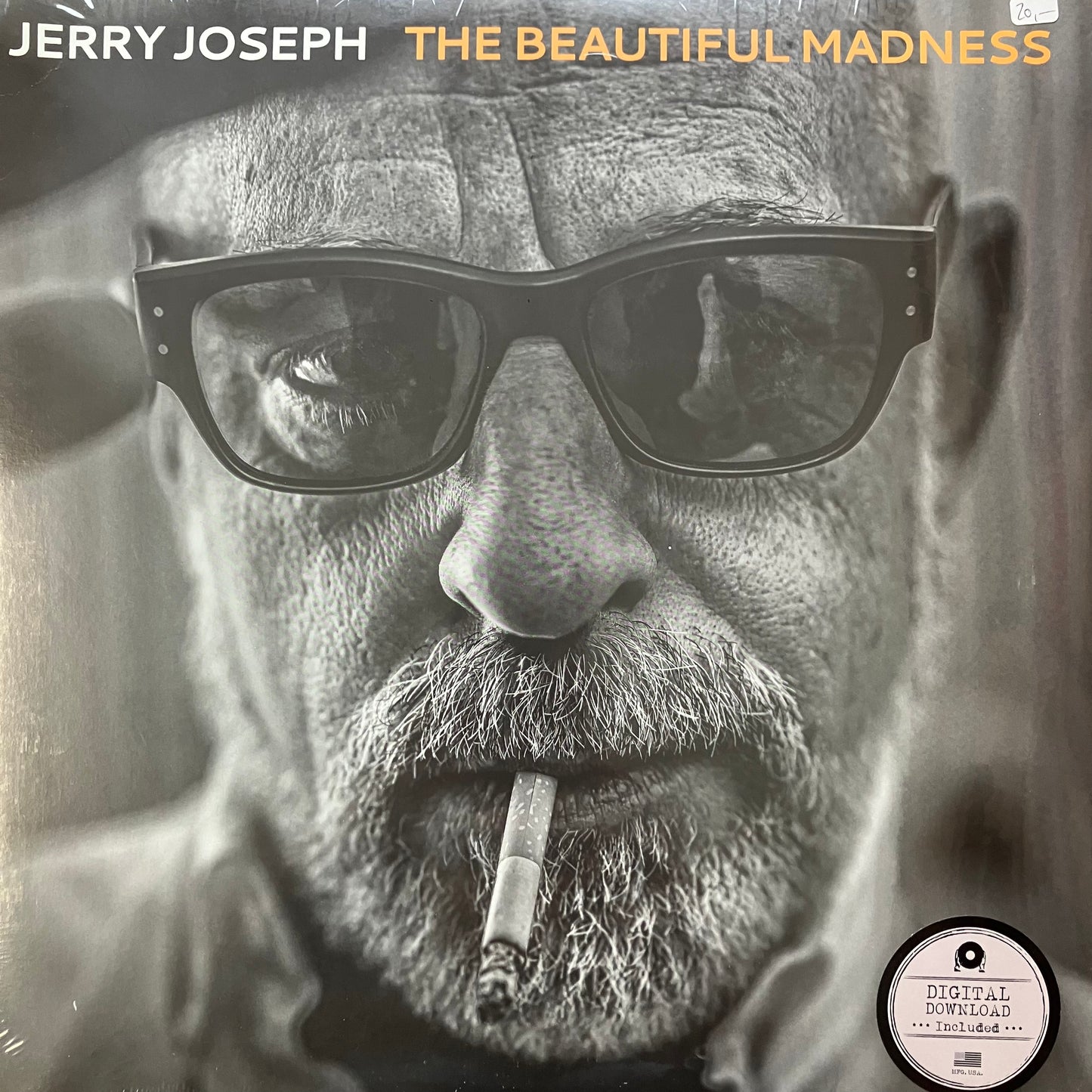 Jerry Joseph - The Beautiful Madness (black 2LP)