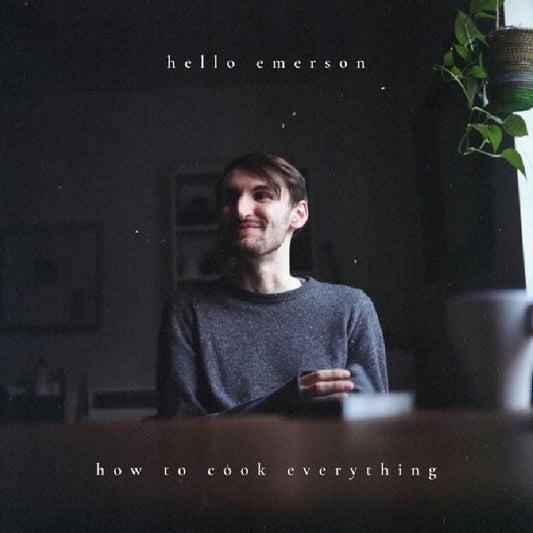Hello Emerson - How To Cook Everything (black LP)