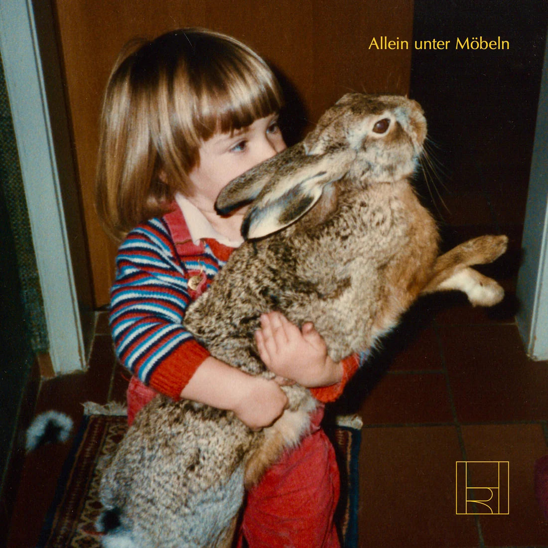 Hotel Rimini - Unter Möbeln (CD)