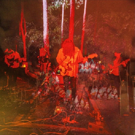 Psychedelic Porn Crumpets - Levitation sessions (LP)