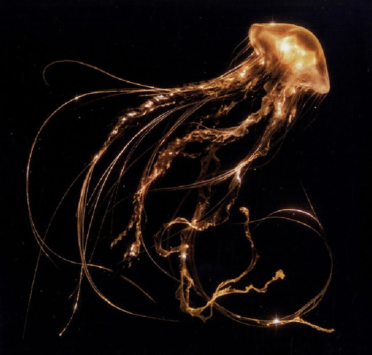 Royal Blood - Back To The Water Below (black LP)