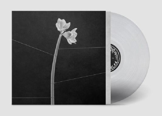Trentemöller - Dreamweaver (clear LP)