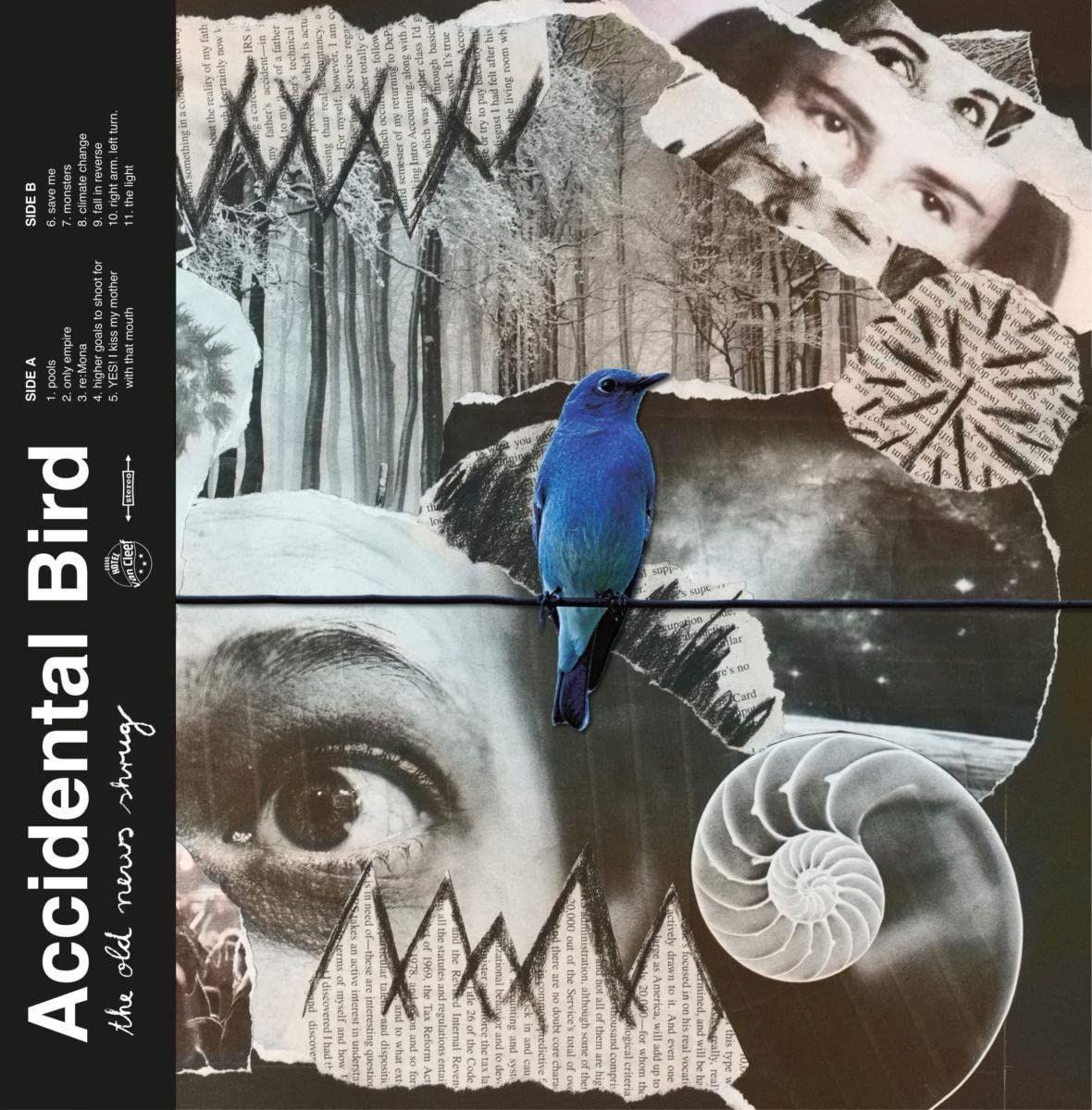 Accidental Bird (Honig) - The Old News Shrug (blue LP)