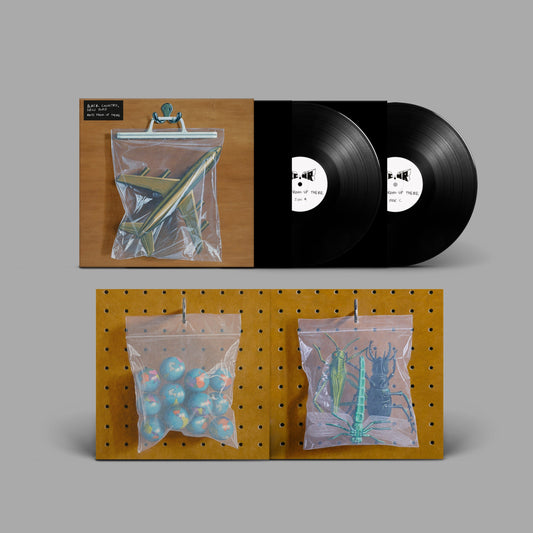 Black Country, New Road - Ants From Up There (black 2LP+MP3)