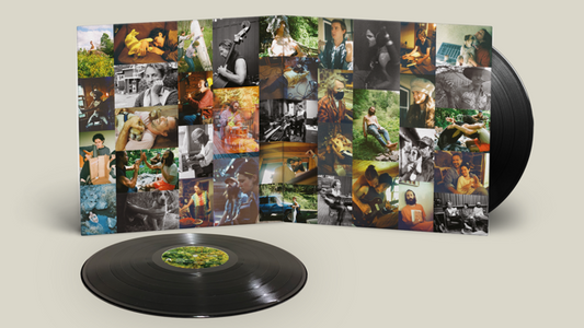 Big Thief - Dragon New Warm Mountain... (2LP)