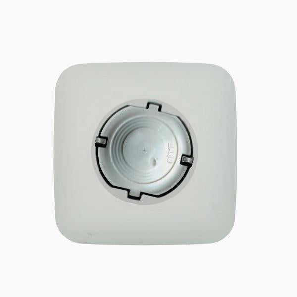 EA 80 - Stecker (white LP)