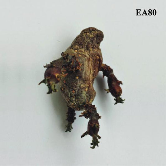 EA 80 - Single (LP)