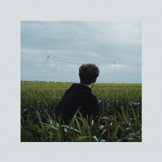 Hotel Rimini - Gefährdete Arten (black LP)