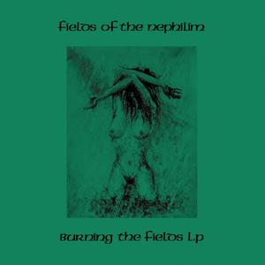 Fields Of The Nephilim - Burning The Fields (ltd. transparent green 2LP) - VÖ: 13.06.25