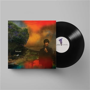 Sharon van Etten - We've Been Going About This All Wrong (LP)