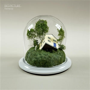Fenne Lily - Big Picture (col. LP)