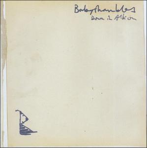 Babyshambles - Down In Albion (2LP)