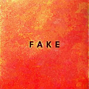 Die Nerven - Fake (LP)