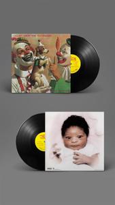 Butthole Surfers - Locust Abortion Technician (LP)