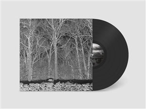 Pile - Sunshine And Balance Beams (black LP)