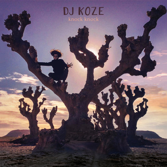 DJ Koze - Knock Knock (2LP+7inch)