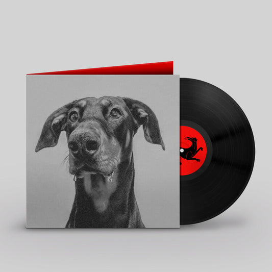Big Special - Postindustrial Hometown Blues (black LP)