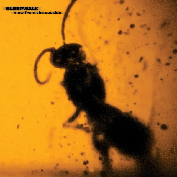 Sleepwalk - View From The Outside (black LP)