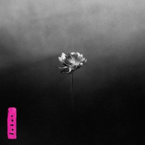 Little Simz - Lotus (electric pink ISE LP) - VÖ: 09.05.25