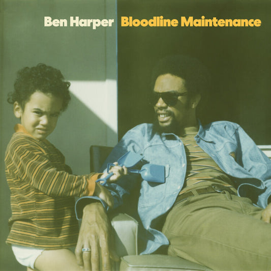 Ben Harper - Bloodline Maintainance (LP)