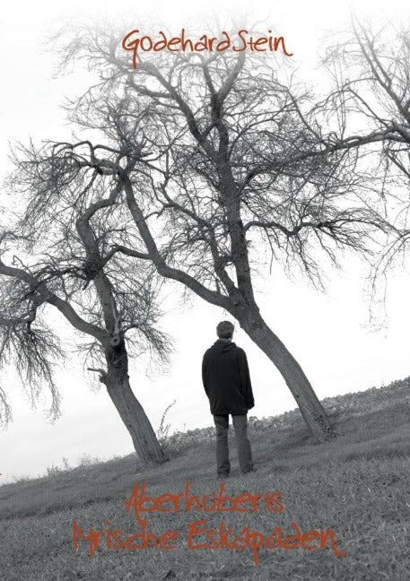 Godehard Stein - Aberhuberts lyrische Eskapaden (Taschenbuch)