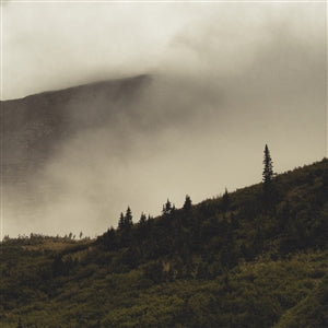 Lord Buffalo - Tohu Wa Bohu (black LP)