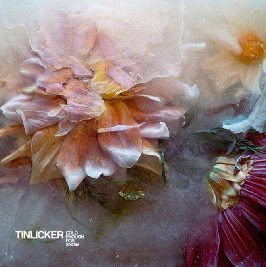 Tinlicker - Cold Enough For Snow (clear 2LP)
