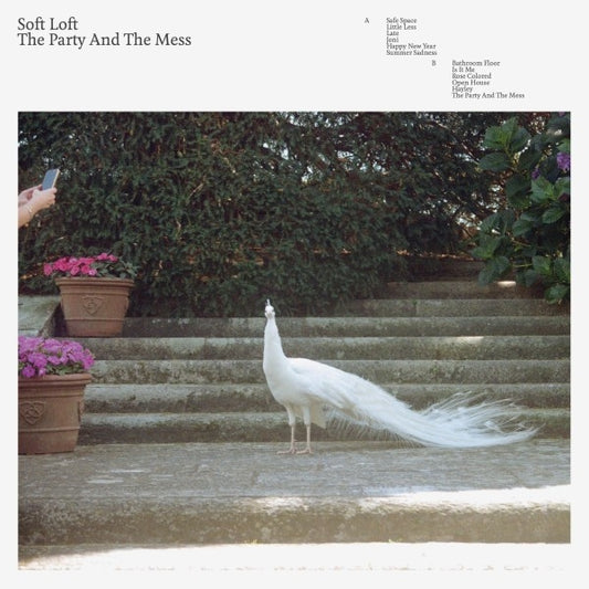 Soft Loft - The Party And The Mess (black LP)