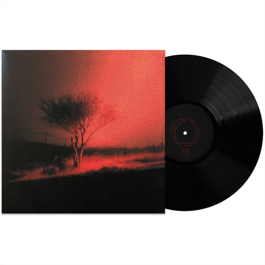 Joji - Piss In The Wind (black LP)