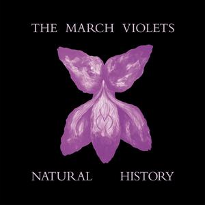 The March Violets - Natural History (purple LP RSD26)