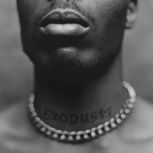 DMX - Exodus (black LP)