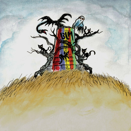 Drive-By Truckers - The New OK (LP)