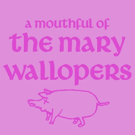 The Mary Wallopers - A Mouthful Of Mary Wallopers (12inch EP RSD26)