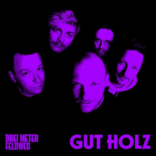 Drei Meter Feldweg - Gut Holz (col. LP)