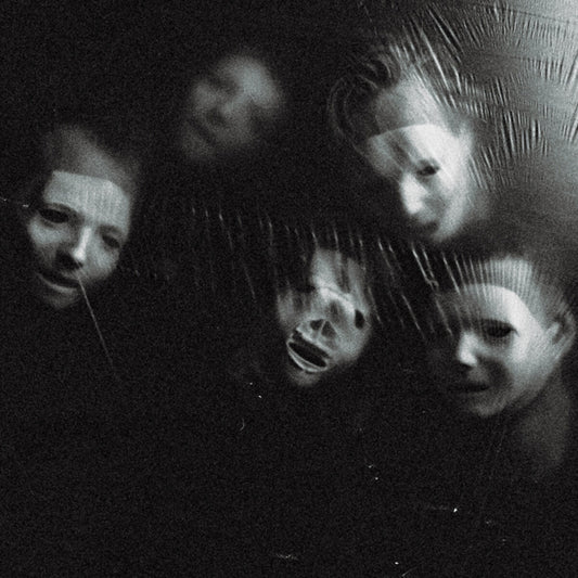 Ditz - The Great Regression (LP)