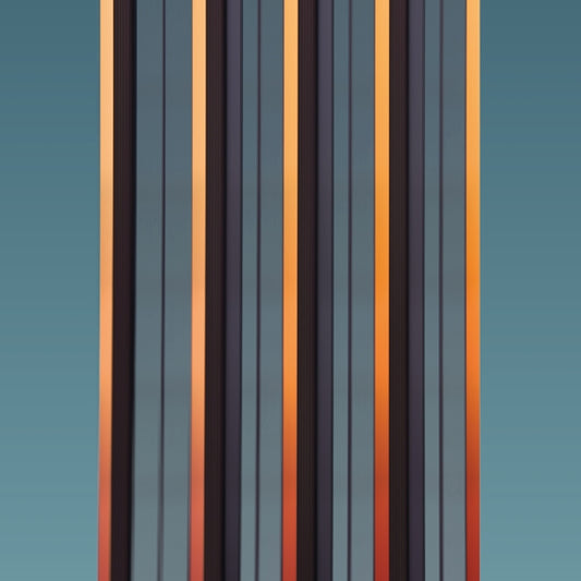 Fluppe - Boutique (LP)