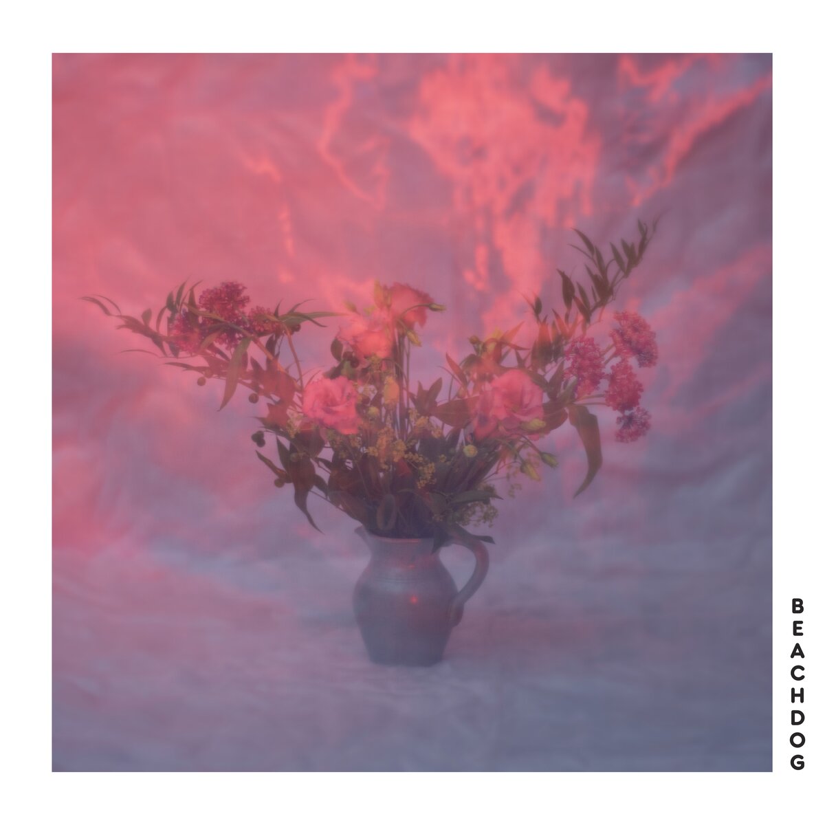 Beachdog - Beachdog (black LP)