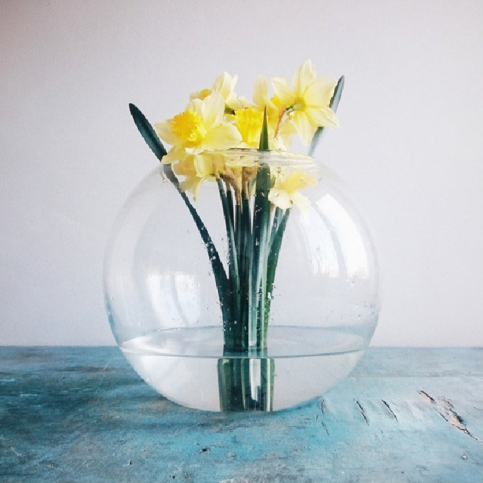 NEØV - Soft Atlas (black LP)